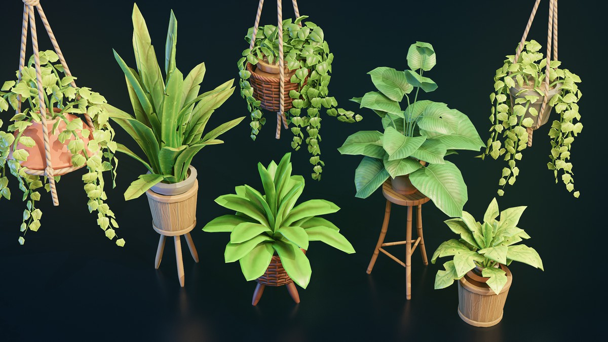 Stylized Home Plants