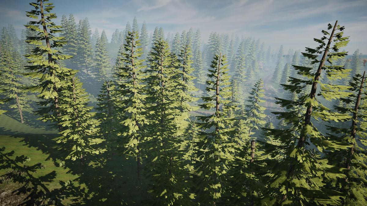 Pine Tree Bundle (Mobile)