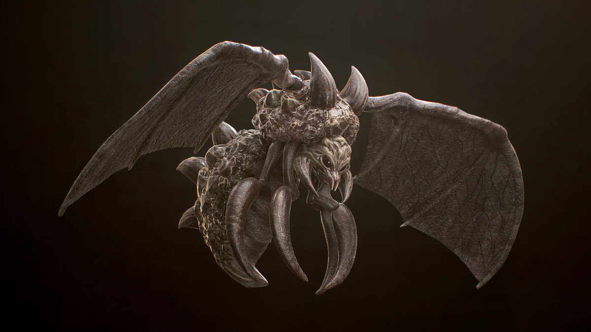Highland Insect