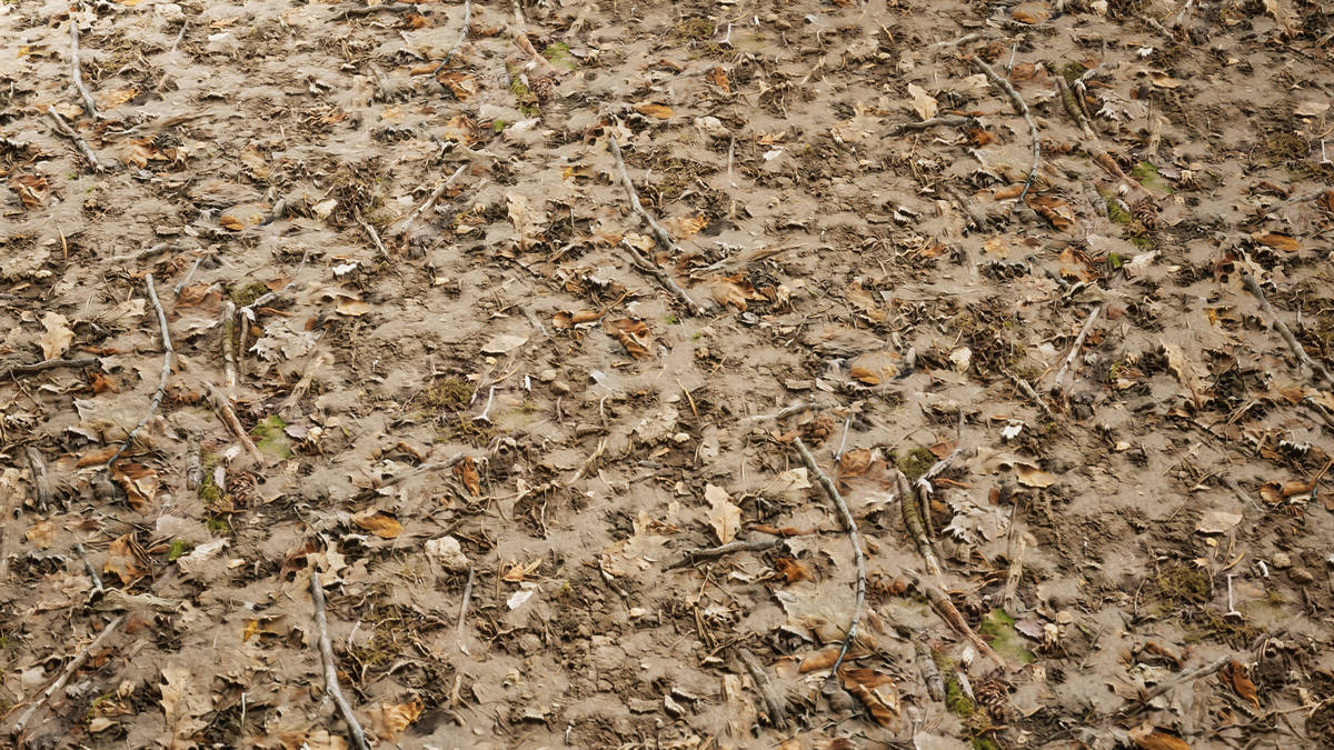 Realistic Materials - Forest Ground 2