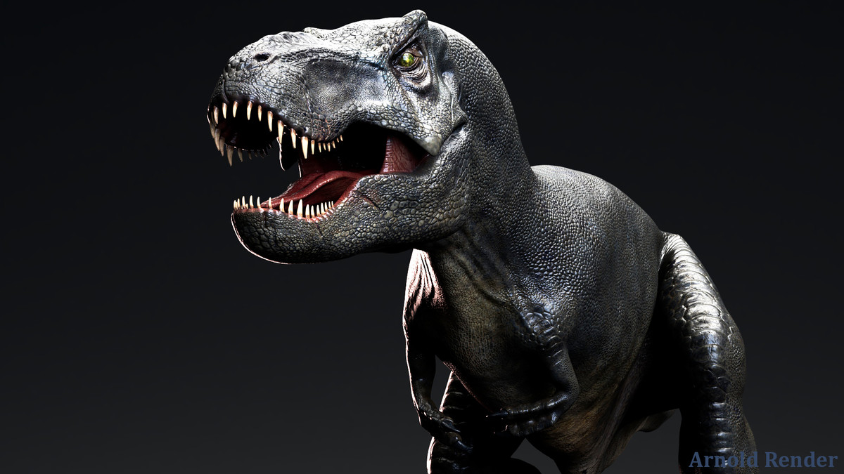 Dinosaur - Sub-Adult TRex