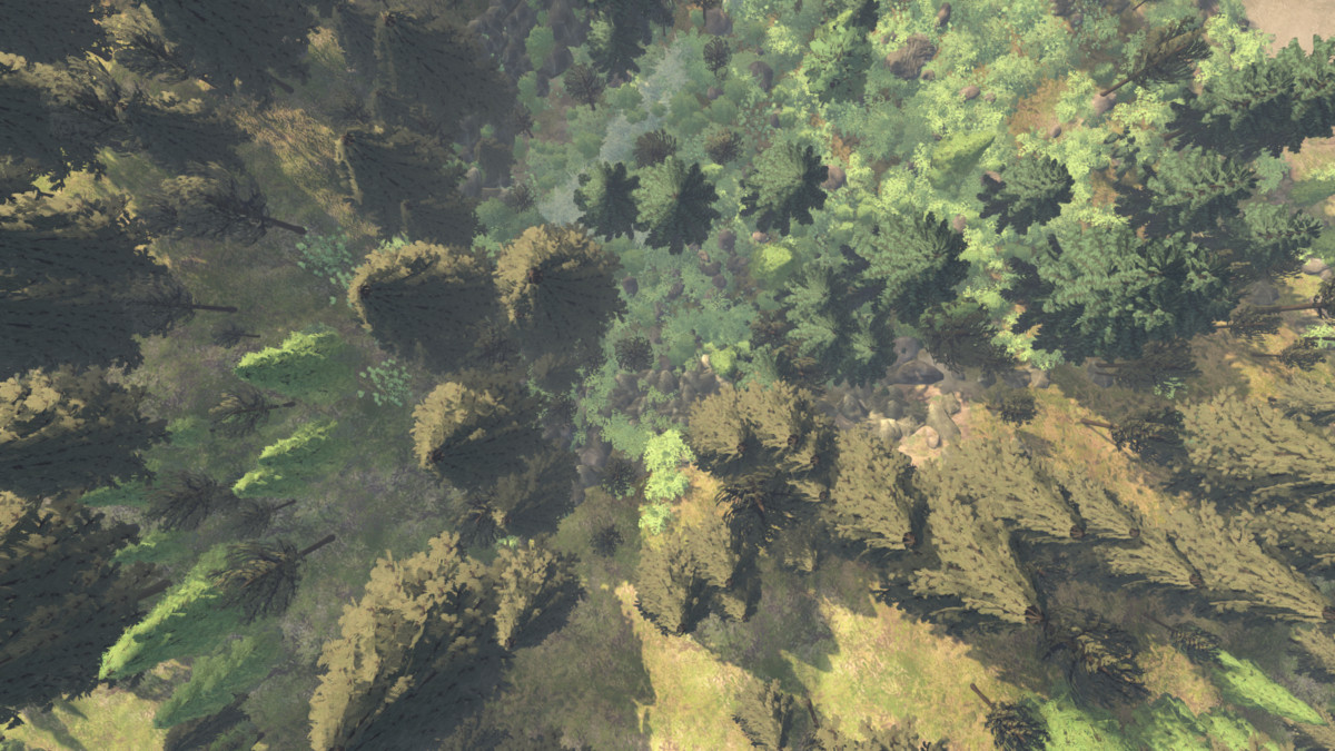 Common Forest | Stylized Nature