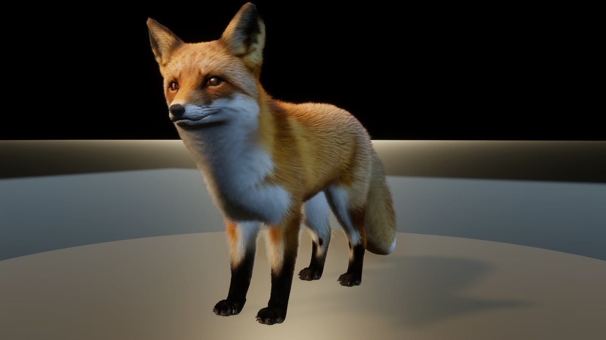 Forest Predators Collection - Realistic Animated Animals