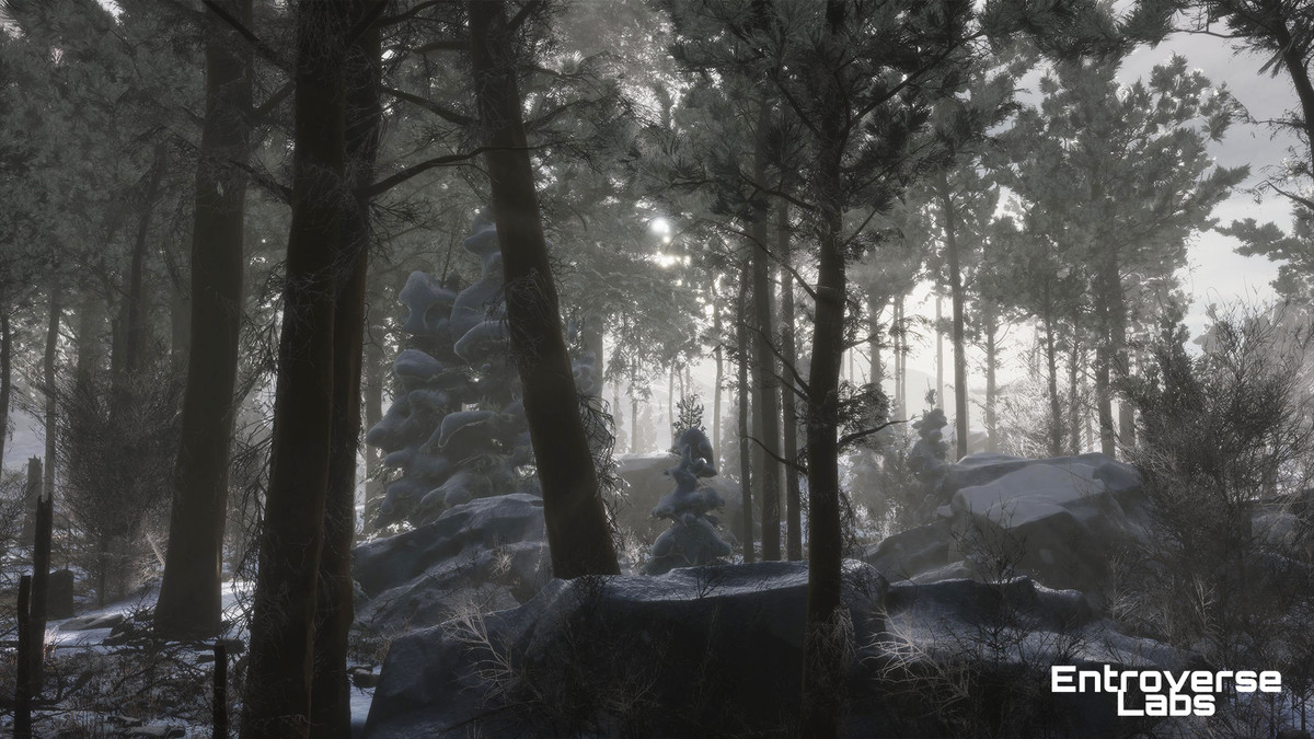 Taiga Biome Environment / Boreal Tundra Forest