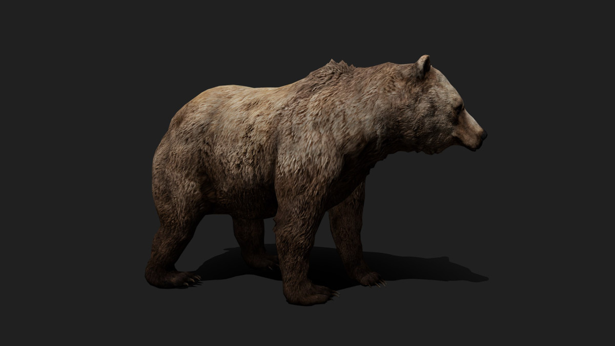 WILDPOLY - Animated Animals – Realistic Pack