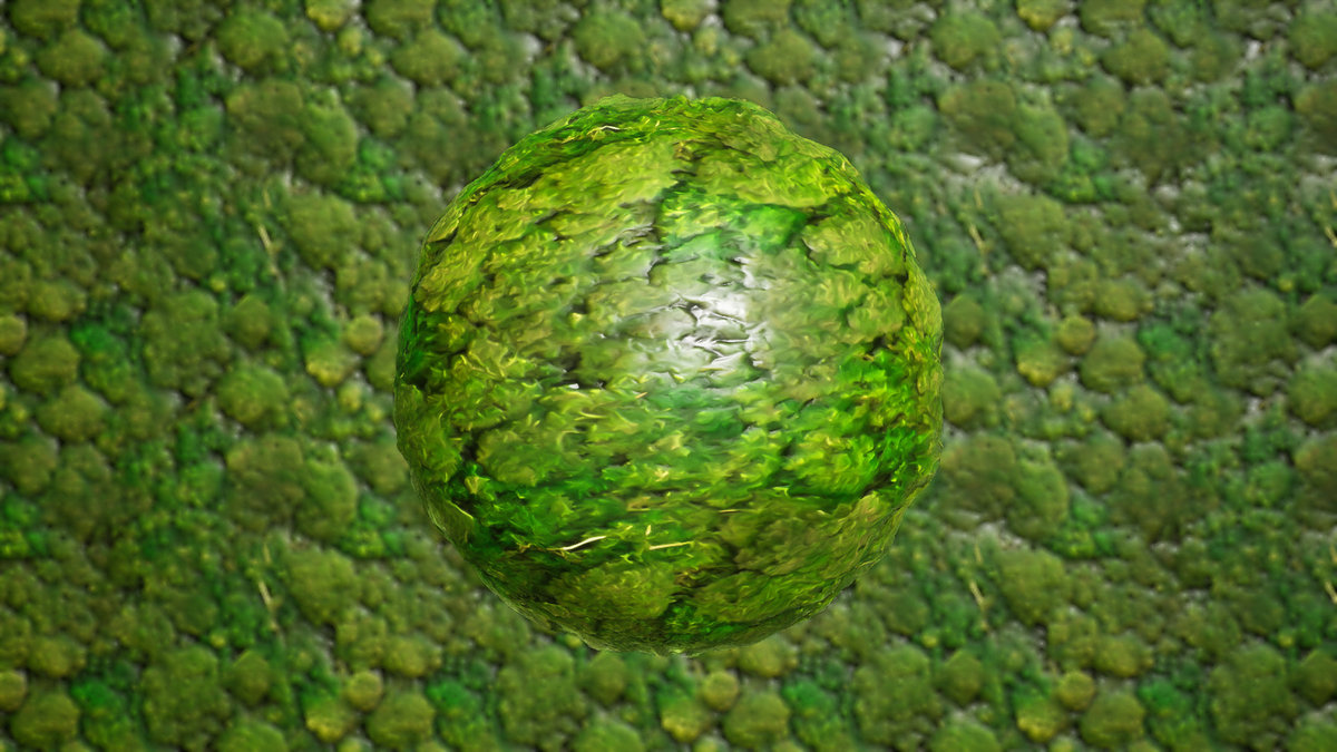 Stylized Materials - Moss 1