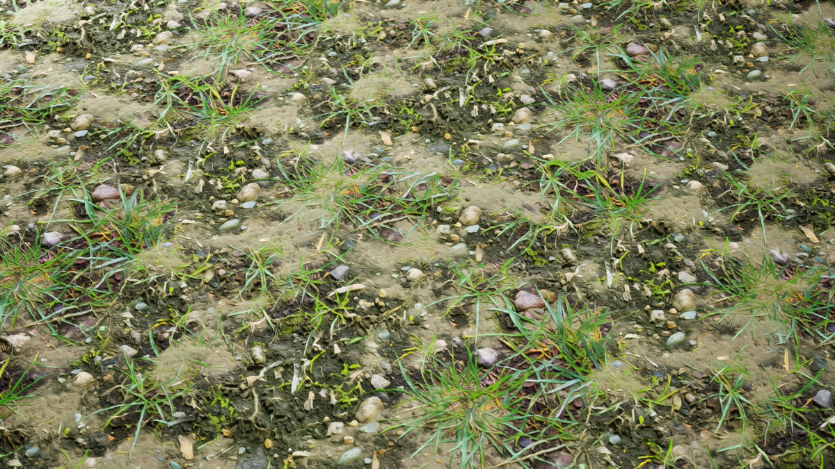 Realistic Materials - Soil 1