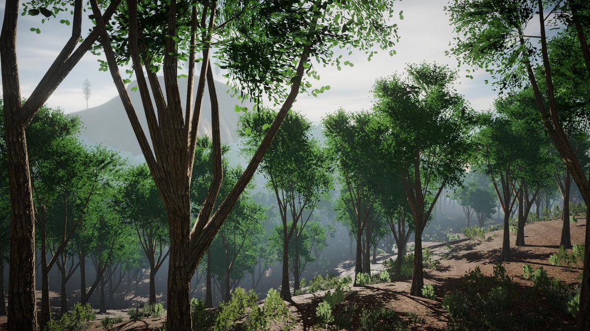 Asset Screenshot 6