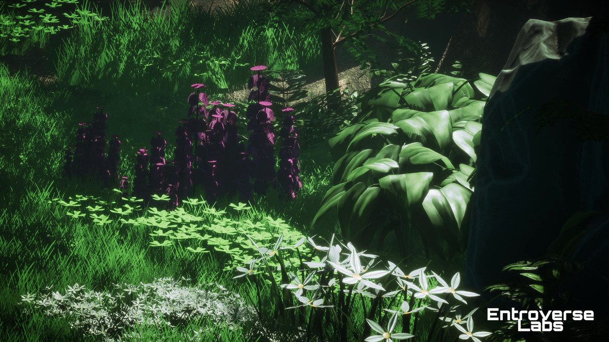 Whispering Grove Environment