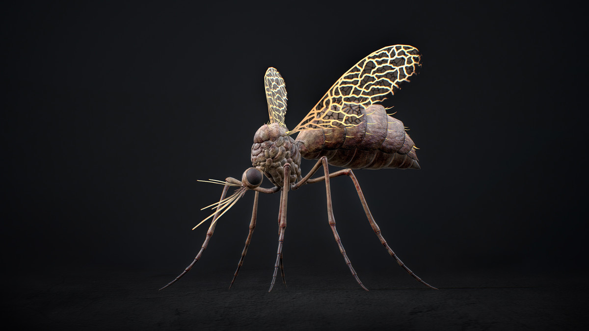 Mosquito Defender - Fantasy Magic Mosquitoes