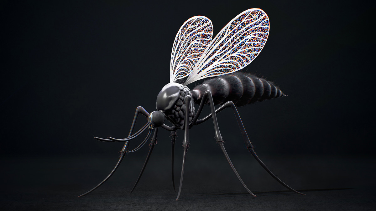 Mosquito Queen - Fantasy land Mosquitoes