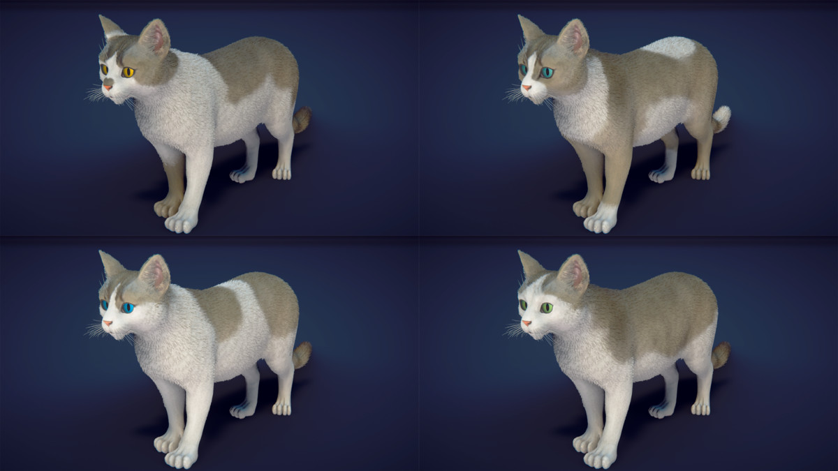 Milo the Cat