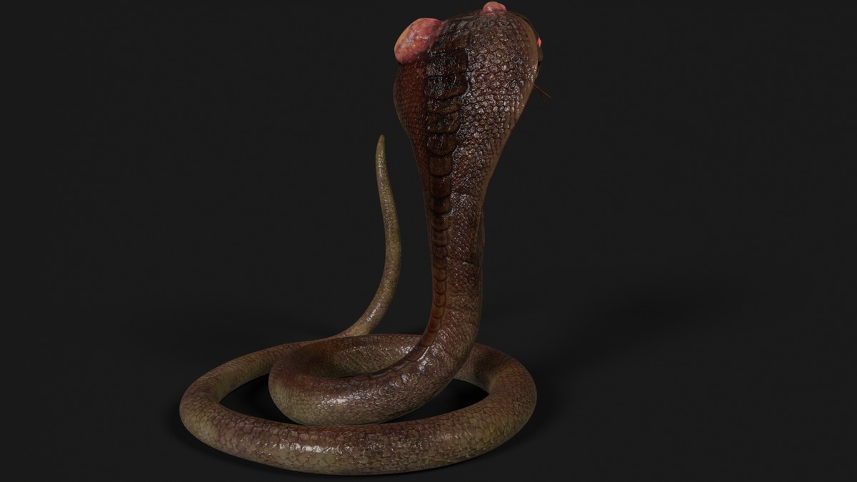 Snake - Mutant Collection
