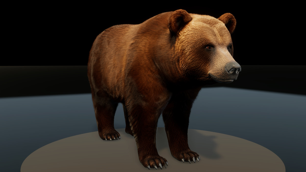 Forest Predators Collection - Realistic Animated Animals