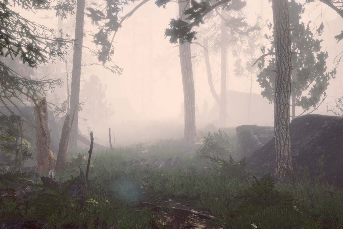 Book of the Dead Forest - URP - Fantasy RPG