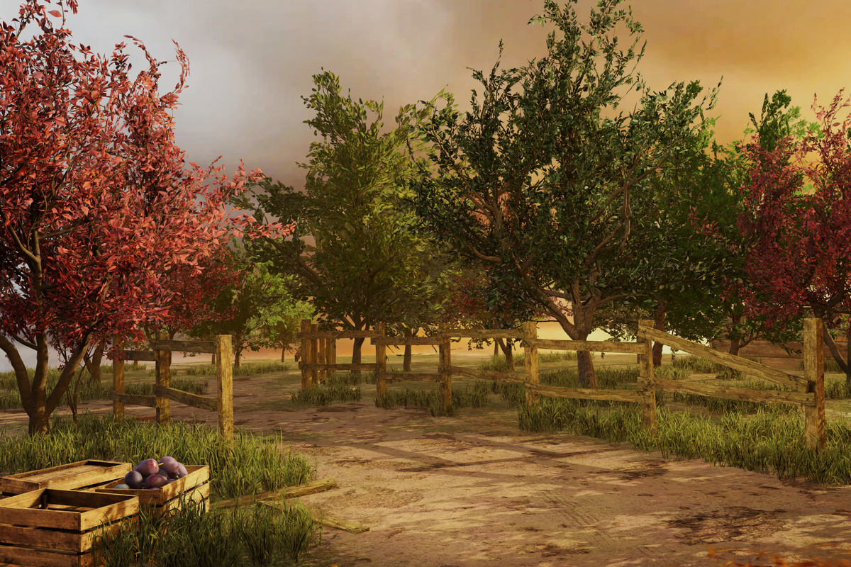 Wild Orchard: Fruit Trees