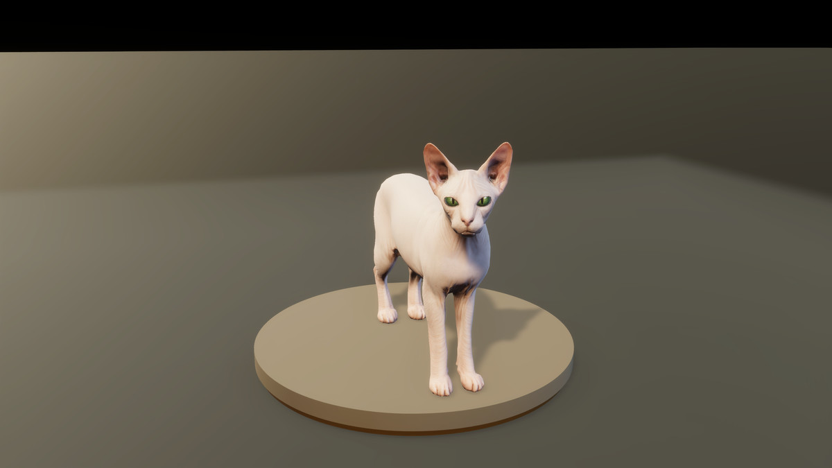 Feline Collection – Realistic Animated Cats with Customizable Fur