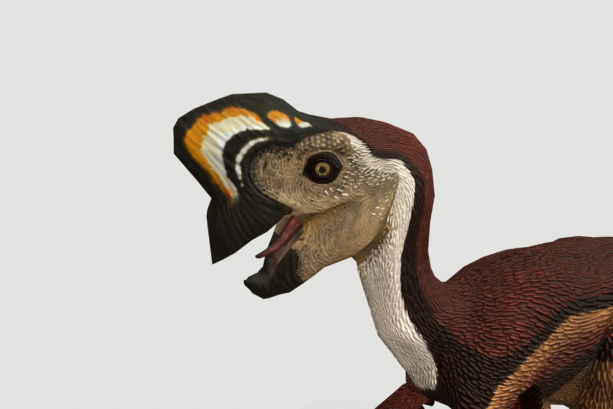 Oviraptor
