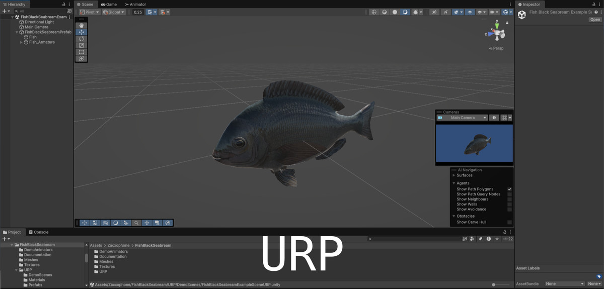 Animated Fish (Black Seabream)