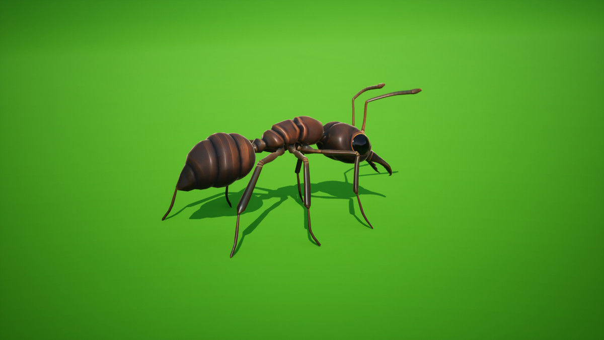 Cordyceps Ant