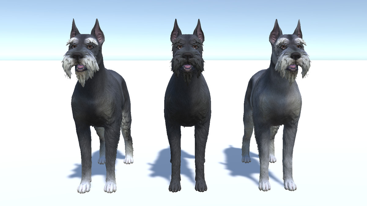 Dog - Schnauzer