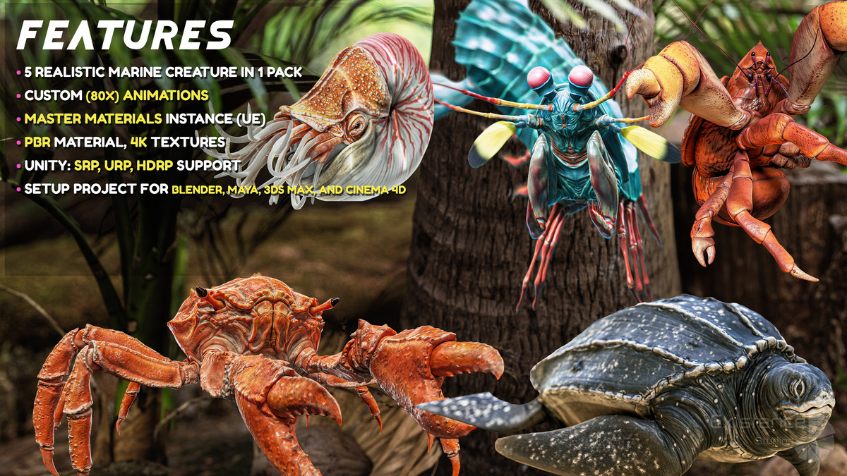 Crab - Coconut Crab - Mantis Shrimp - Sea Turtle - Nautilus - #70