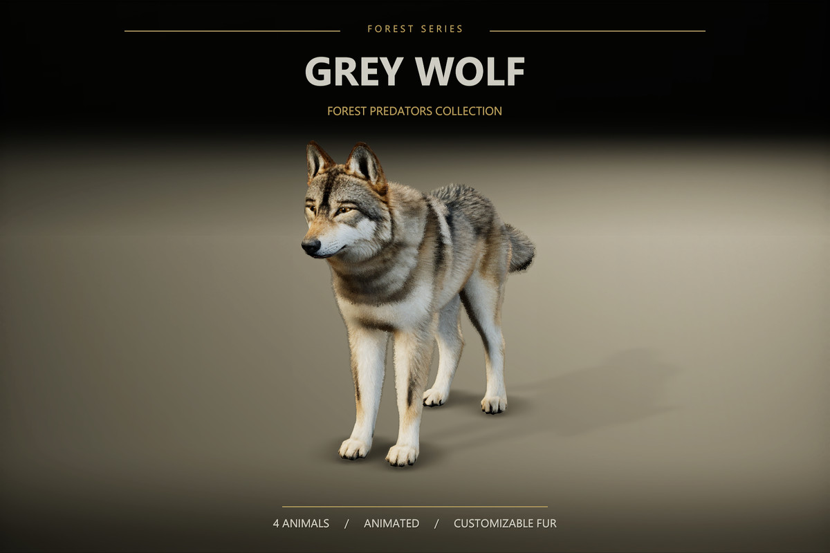Forest Predators Collection - Realistic Animated Animals