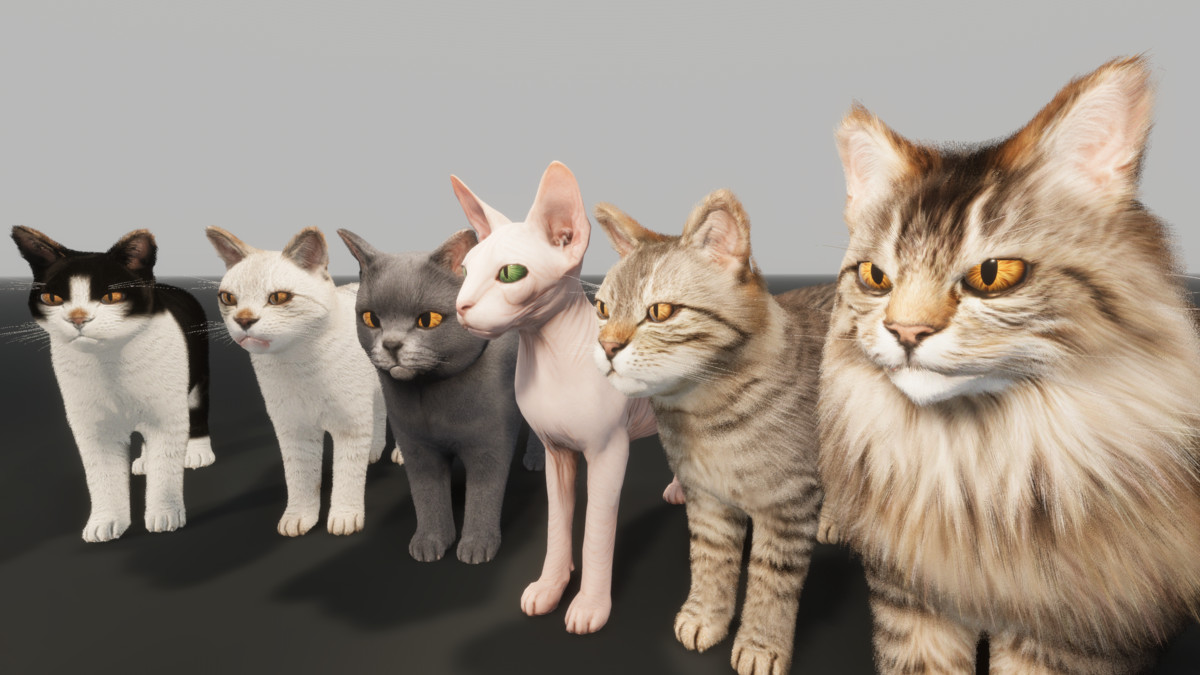 Realistic Cat Pack - Customizable Fur