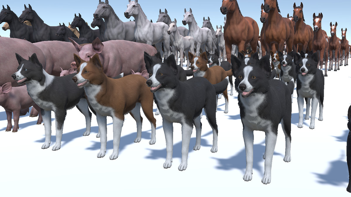 DOMESTIC ANIMAL PACK