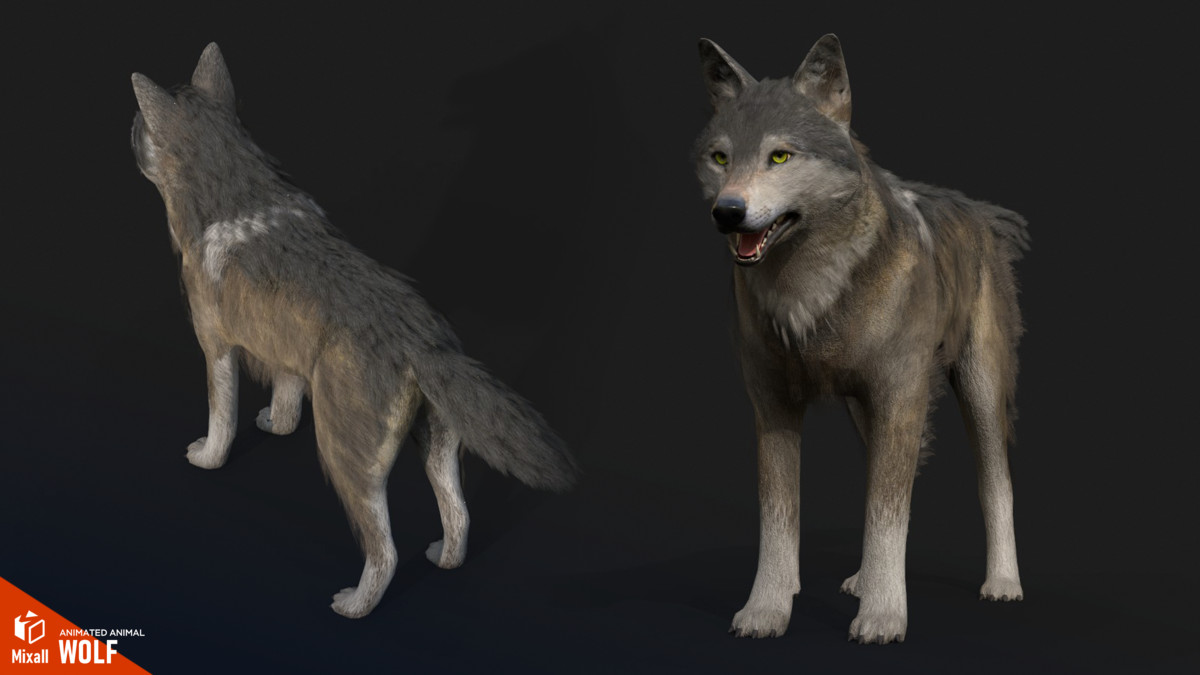 Wolf - animated animal