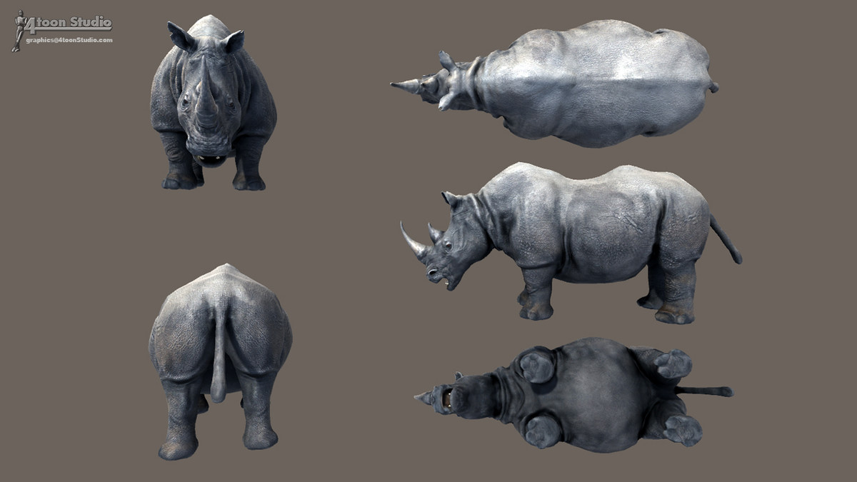 African Animal Rhinoceros Family