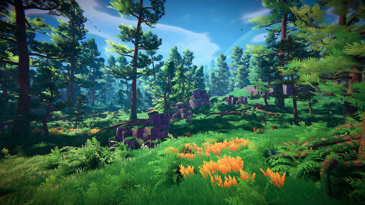 Adventure Nature Vol.6 Forest