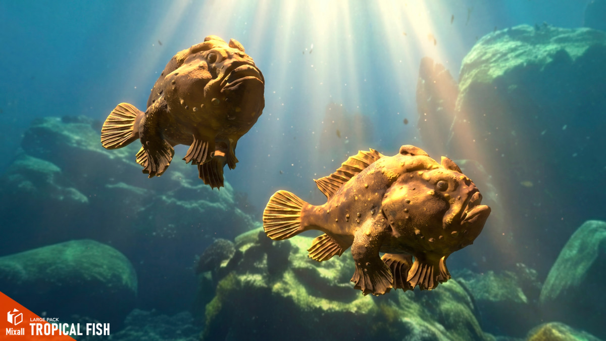Tropical fish - large pack