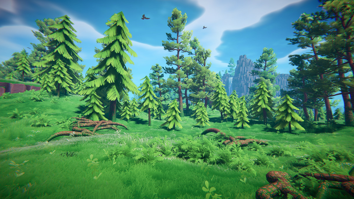 Adventure Nature Vol.6 Forest