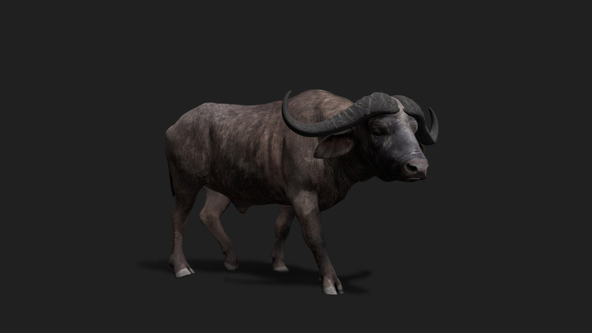 WILDPOLY - Animated Animals – Realistic Pack