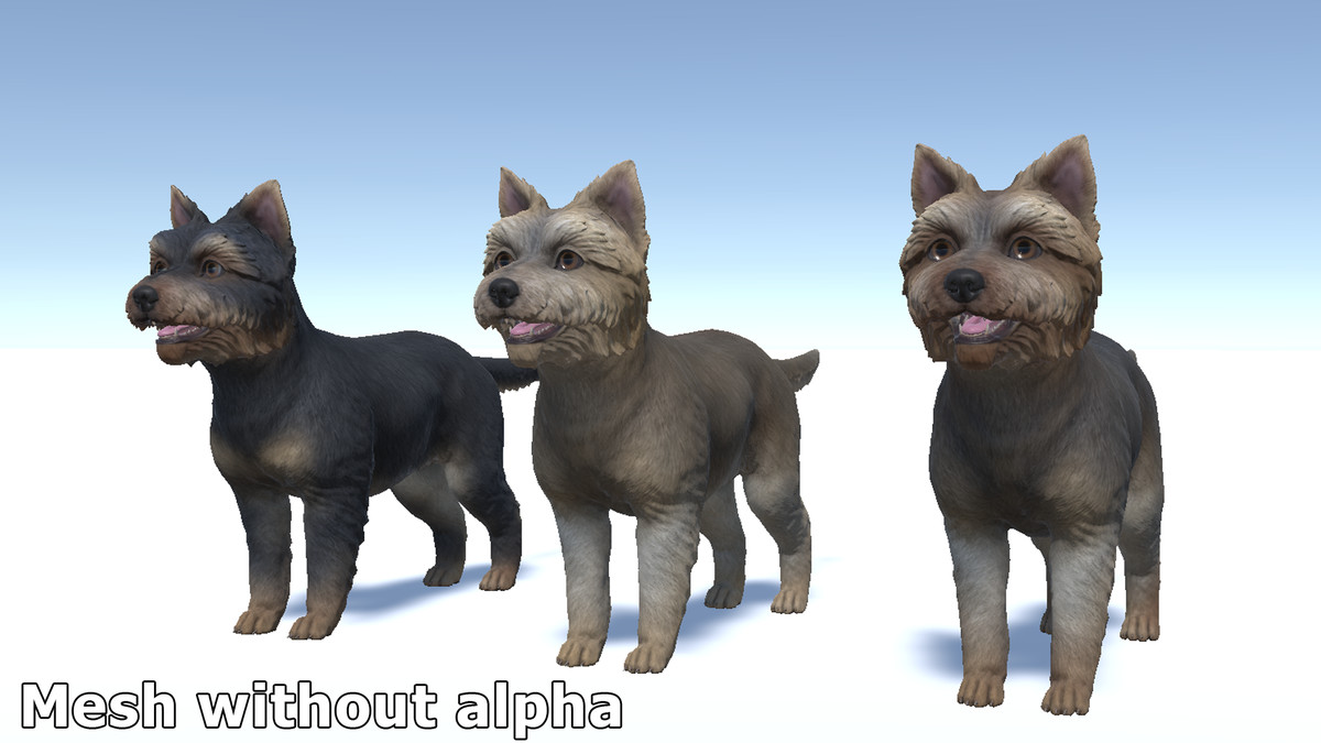 Dog - Yorkshire Terrier