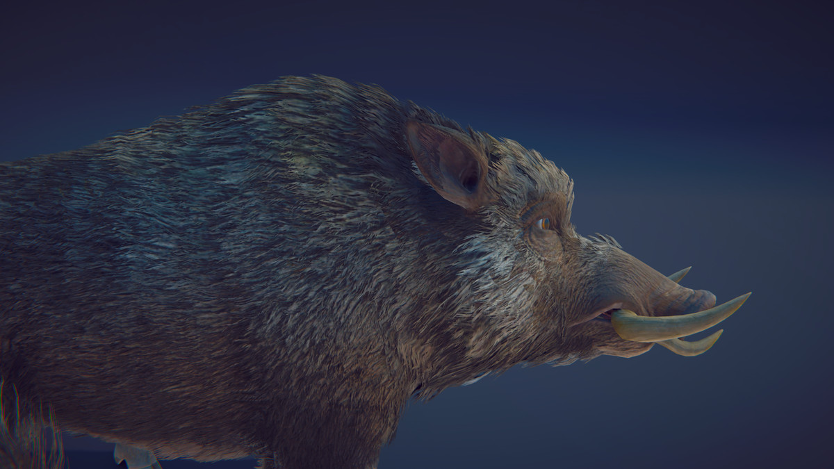 Realistic Boars