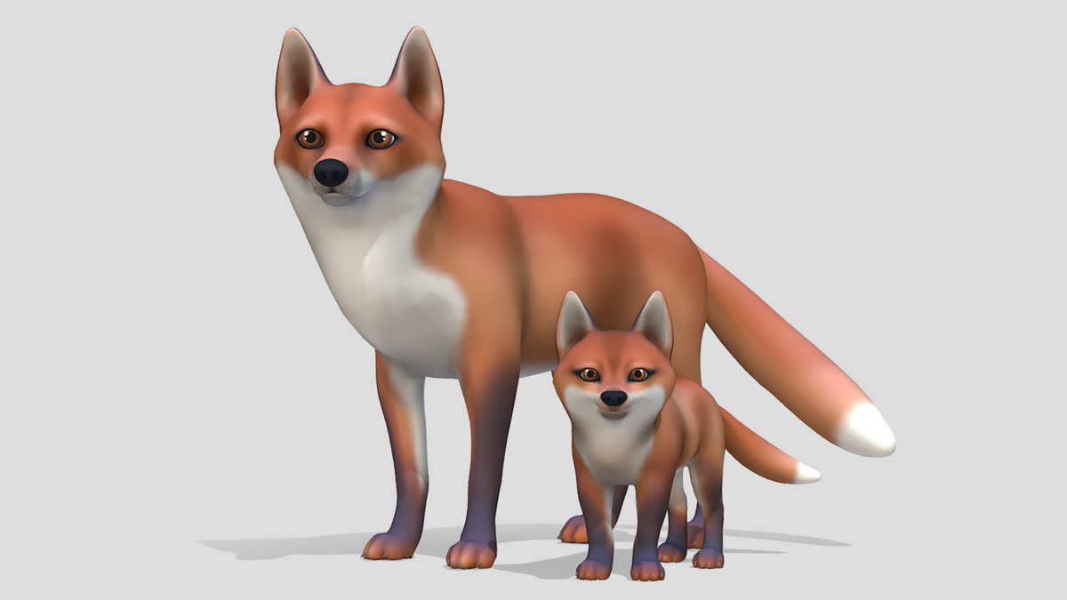 Cartoon Wild Animals