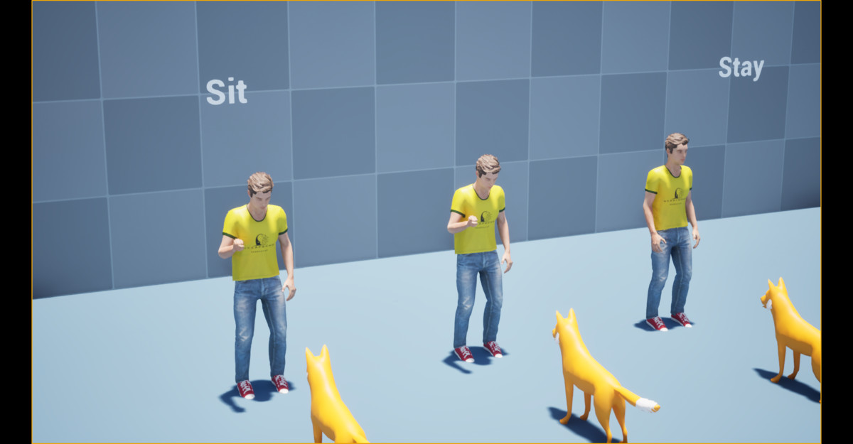 Dog Command Animation