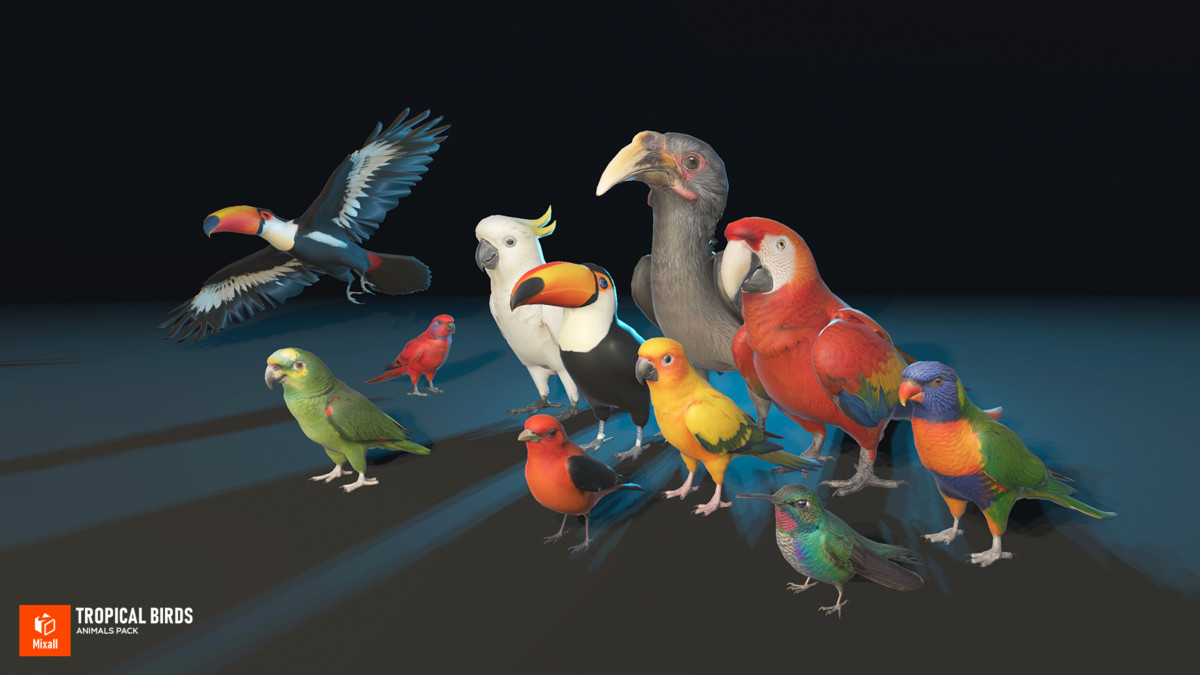 Tropical birds - animals pack