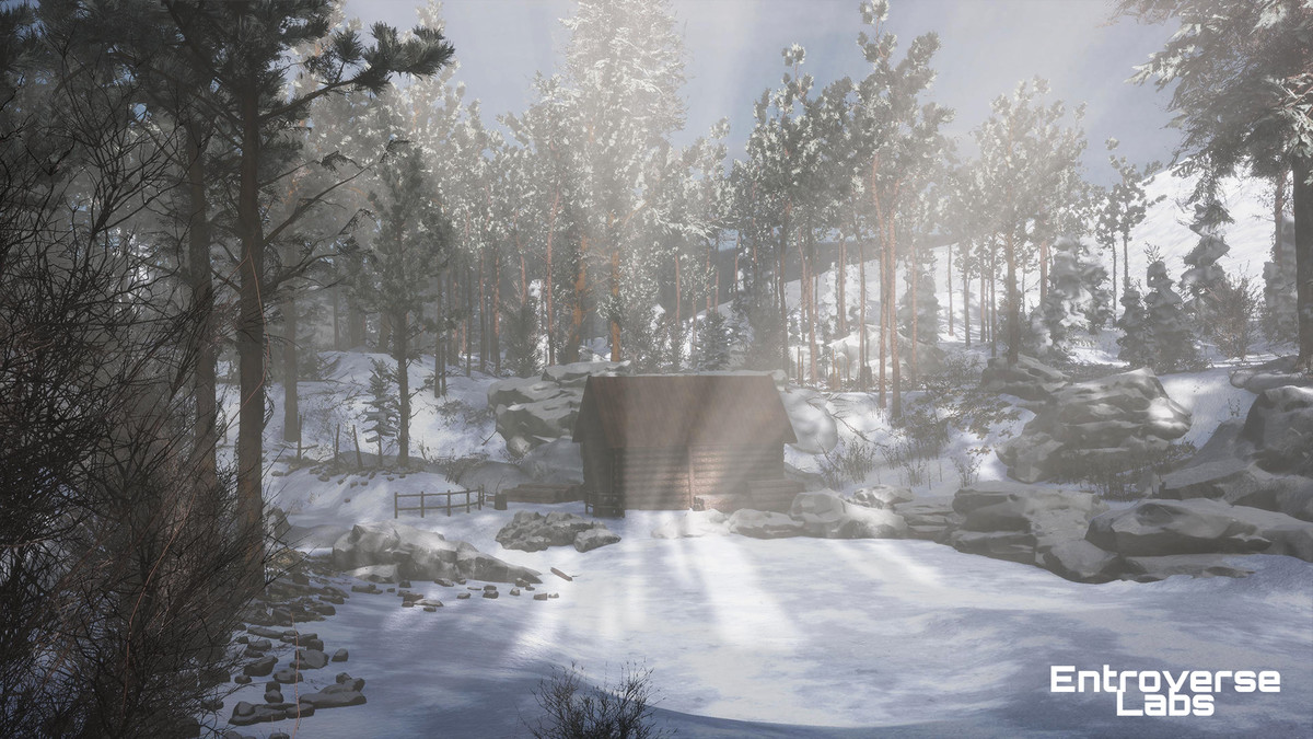 Taiga Biome Environment / Boreal Tundra Forest