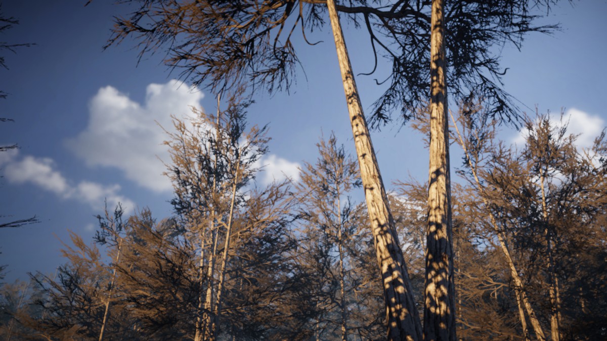 840 Tree Models (Mobile URP)