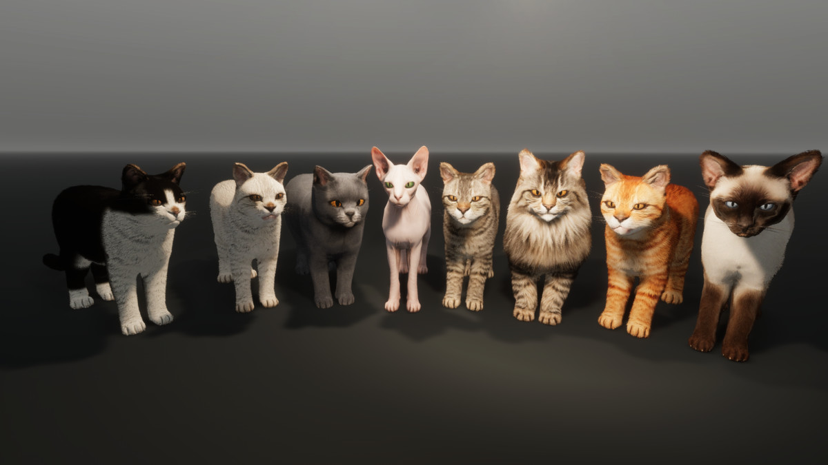 Realistic Cat Pack - Customizable Fur