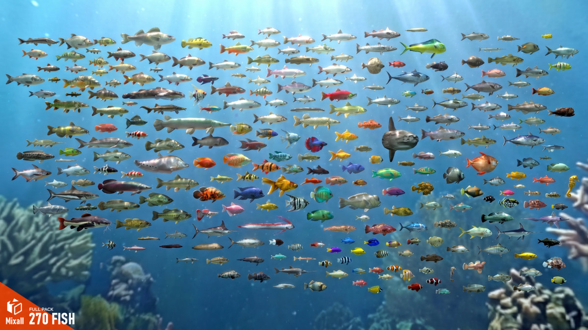 270 fish - Full pack