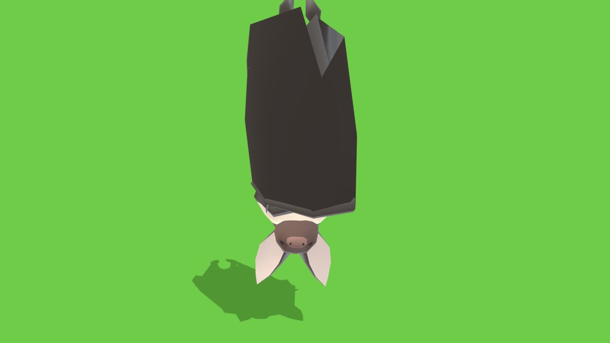 WILDPOLY - Animated Animals – Low Poly Pack