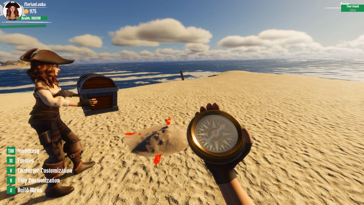 Pirate Multiplayer Game Template (MMO)