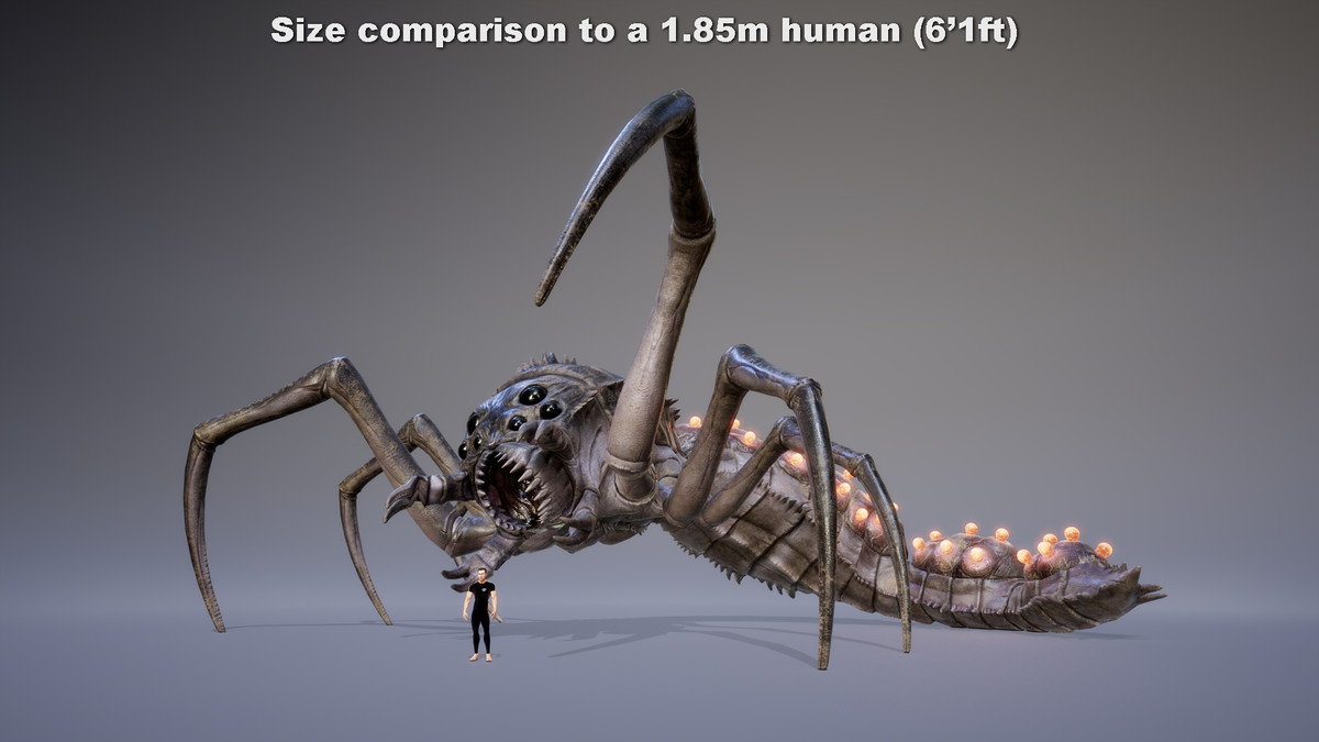 MONSTER: GIGABDOMOCAUDA BOMBIS