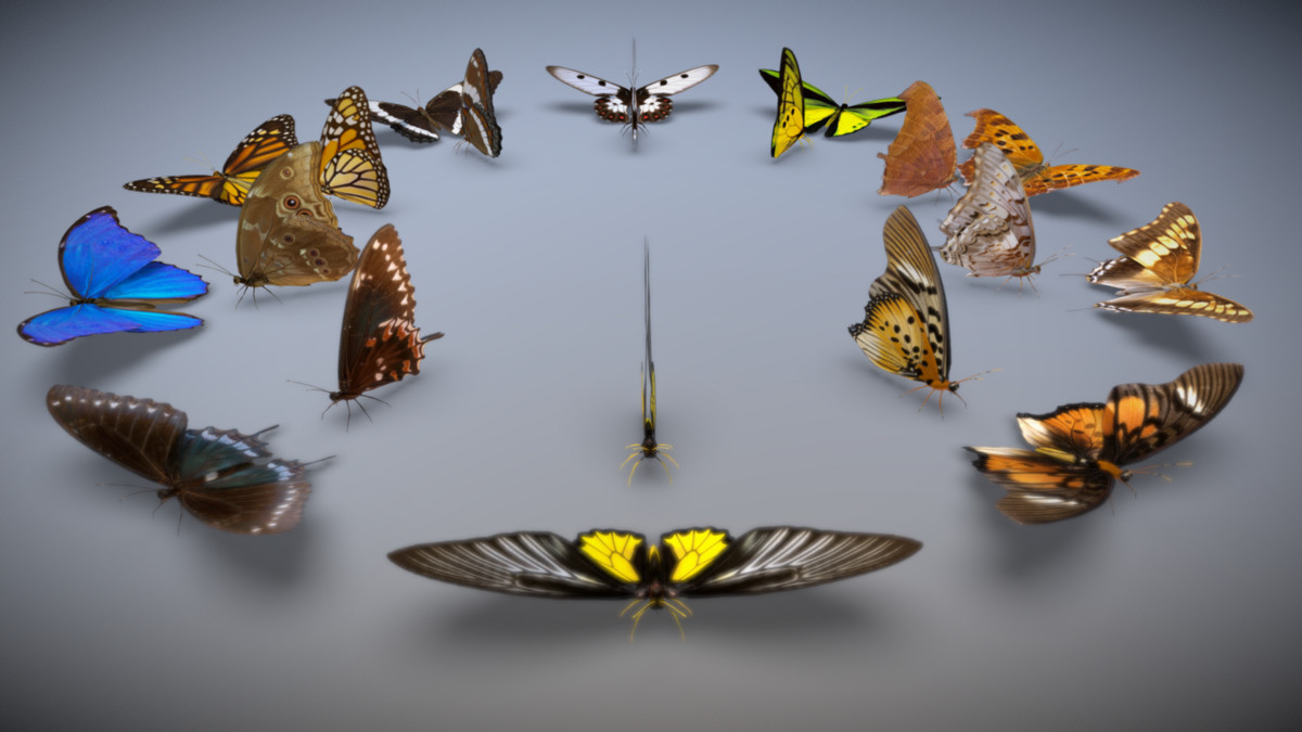 Animated insect bundle