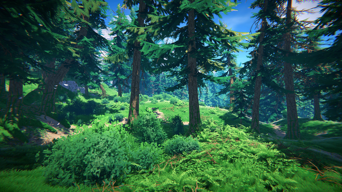 Adventure Nature Vol.7 Spruce Forest