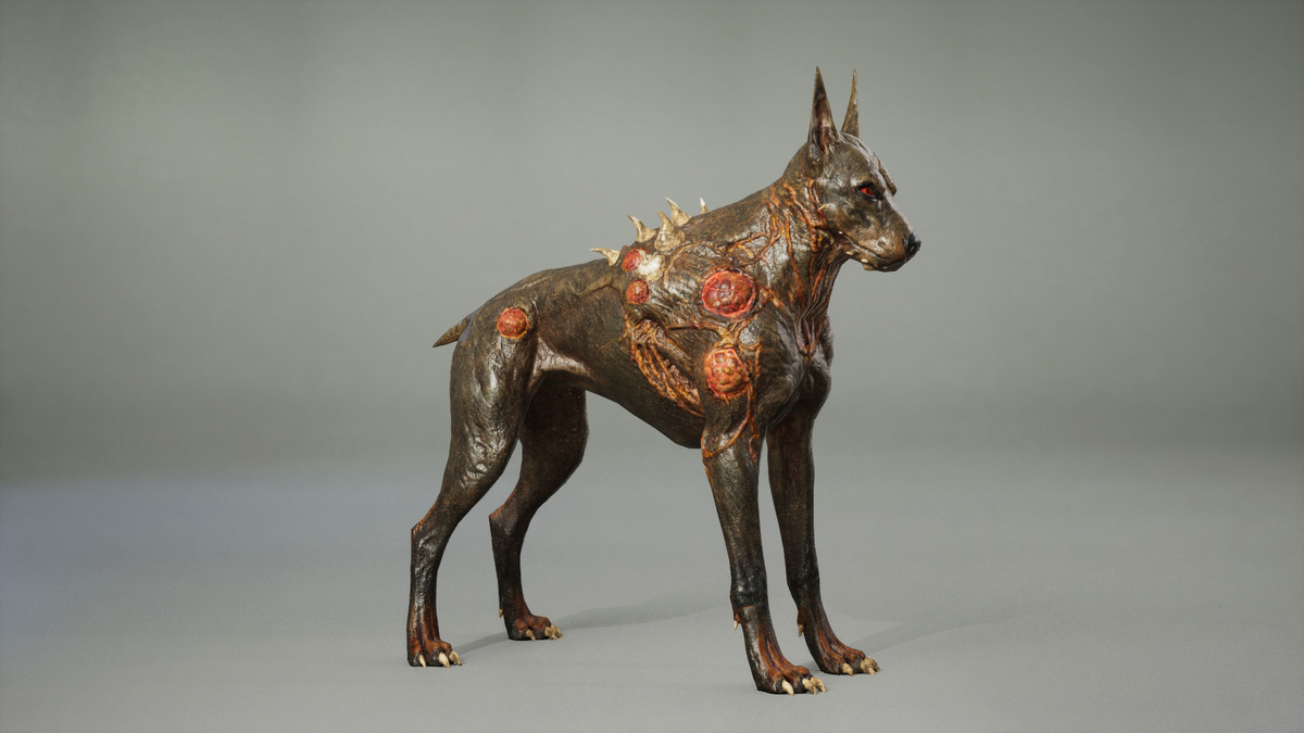 Dog mutant